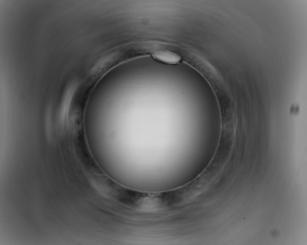 X0000101660119200807101303