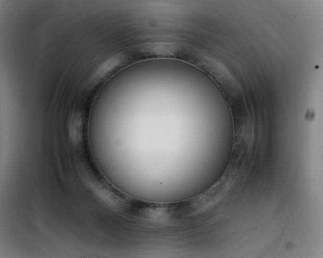 X0000101660120200807101303