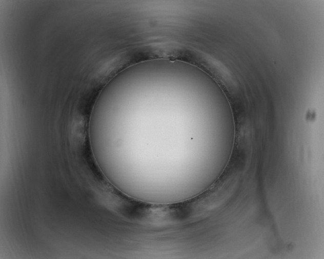 X0000101660121200807101303