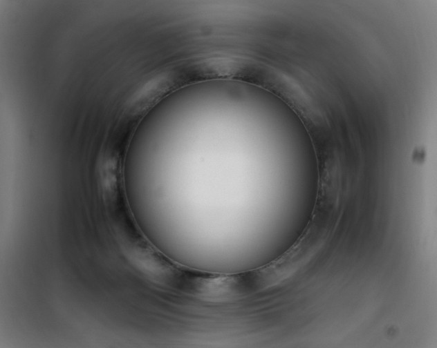 X0000101660122200807101303