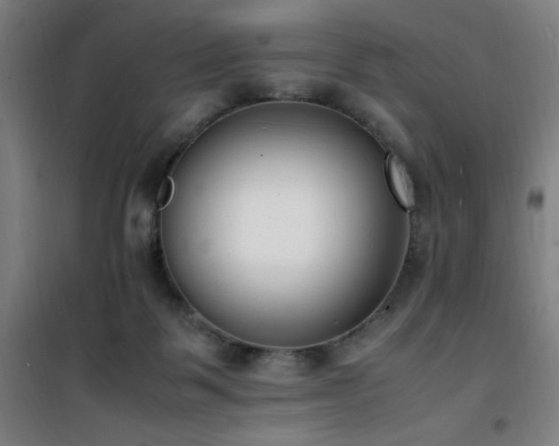 X0000101660123200807101303