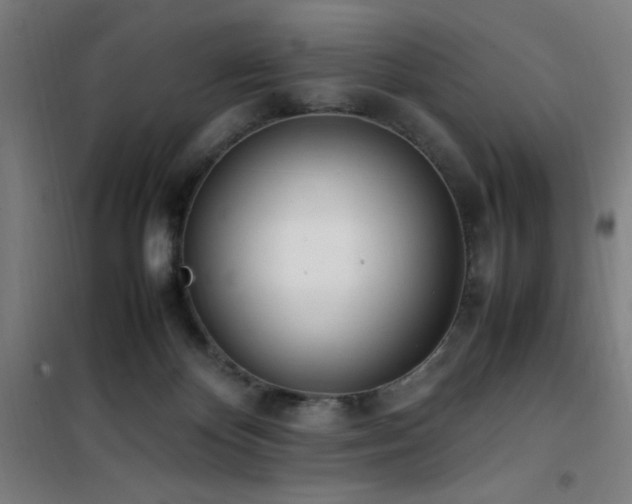 X0000101660124200807101303