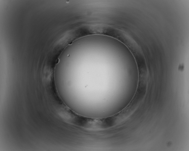 X0000101660125200807101303