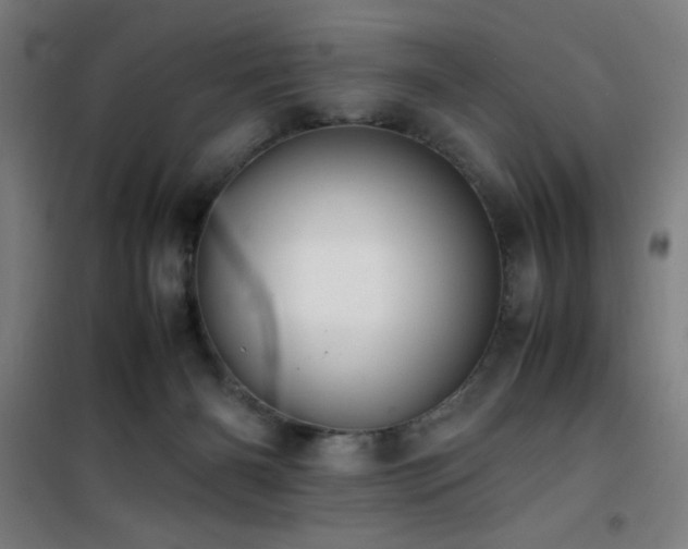 X0000101660126200807101303