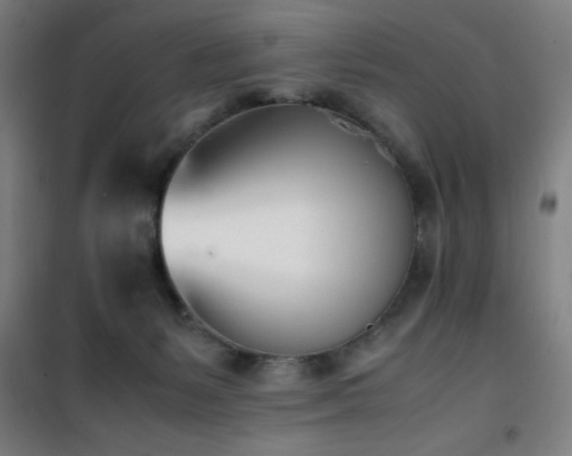 X0000101660127200807101303