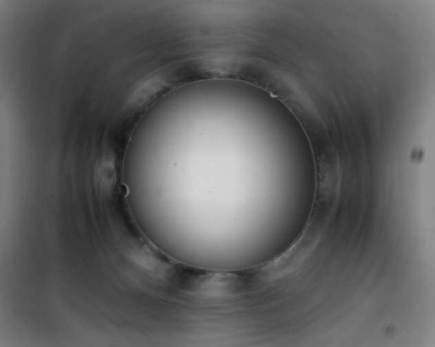 X0000101660128200807101303