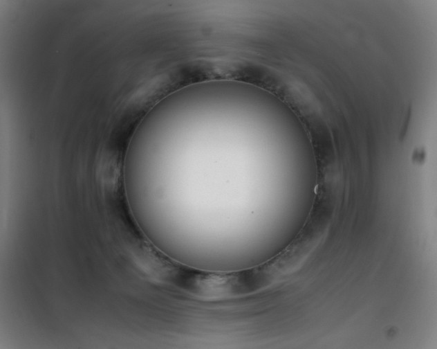 X0000101660129200807101303