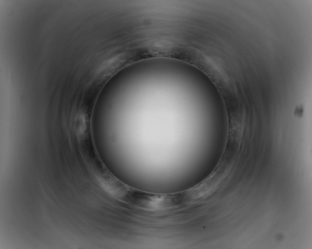 X0000101660130200807101303