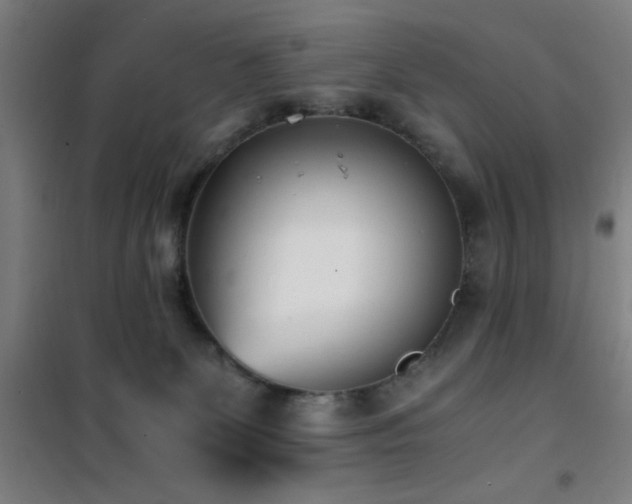 X0000101660131200807101303