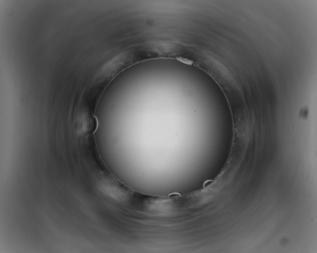 X0000101660132200807101303