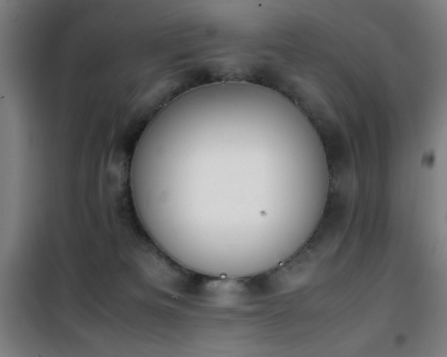 X0000101660133200807101303