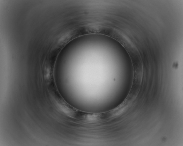 X0000101660134200807101303