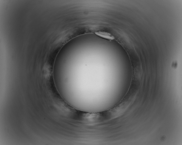 X0000101660135200807101303