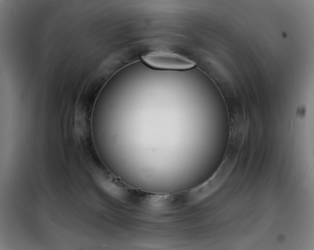 X0000101660136200807101303