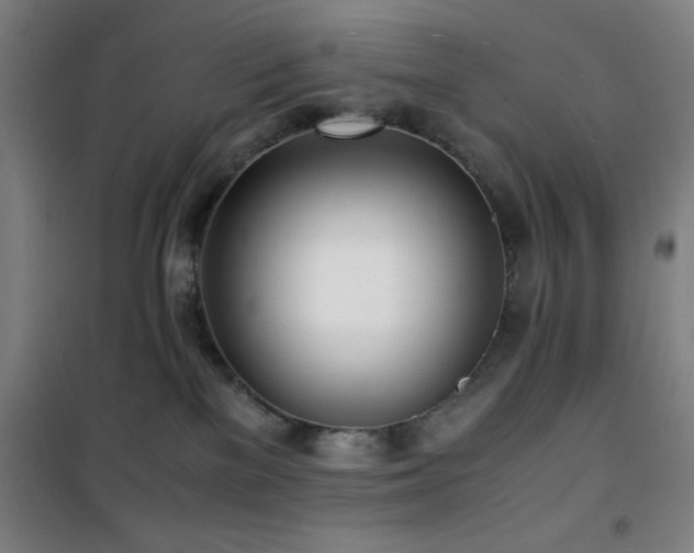 X0000101660137200807101303