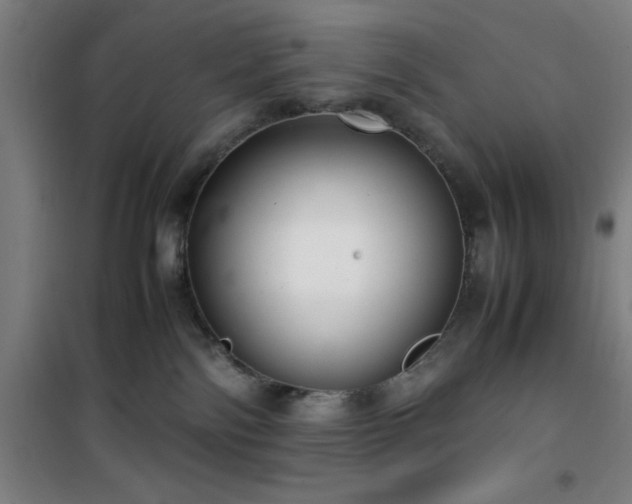 X0000101660138200807101303