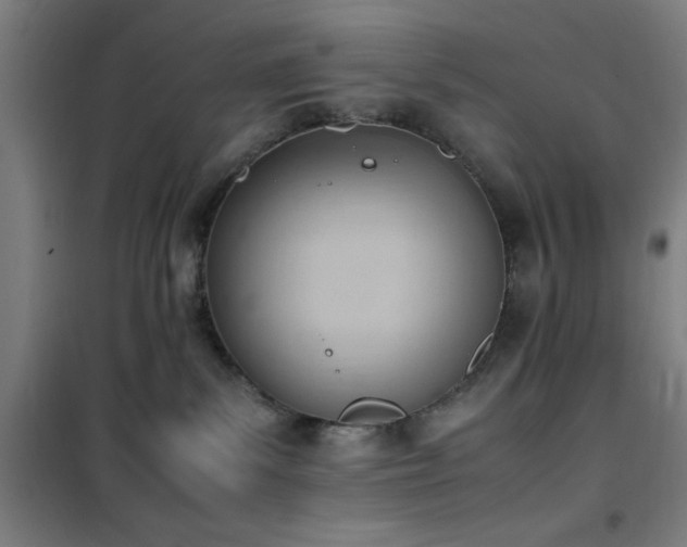 X0000101660139200807101303