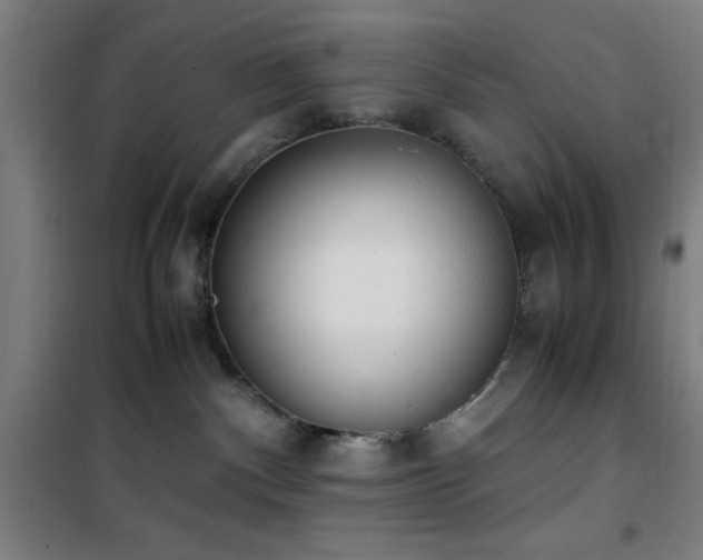 X0000101660140200807101303