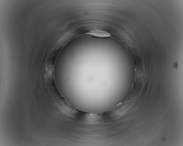 X0000101660141200807101303