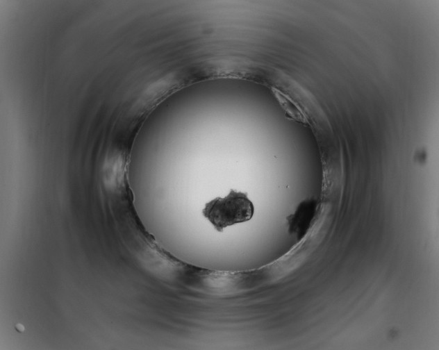 X0000101660142200807101303