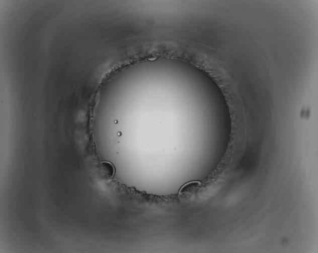 X0000101660144200807101303