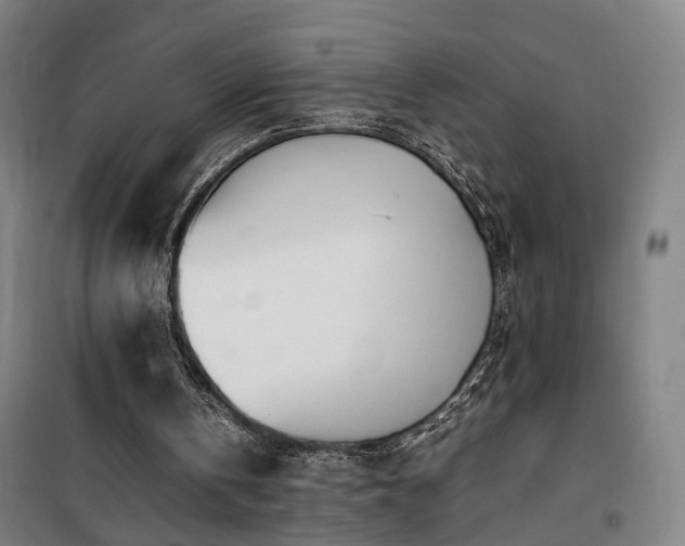 X0000101660146200807101302