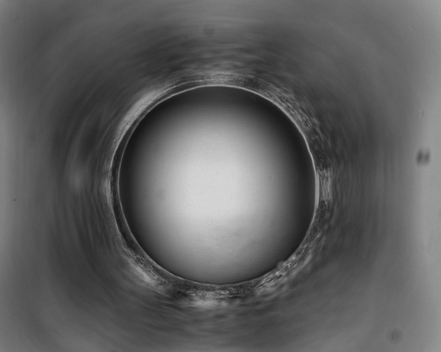 X0000101660147200807101302