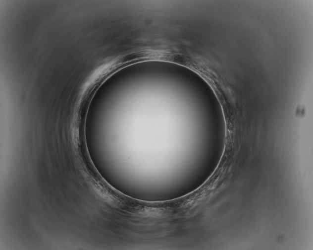 X0000101660149200807101302