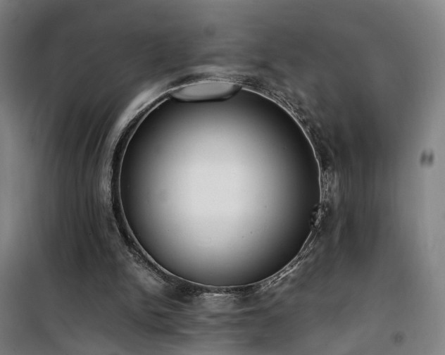 X0000101660150200807101302