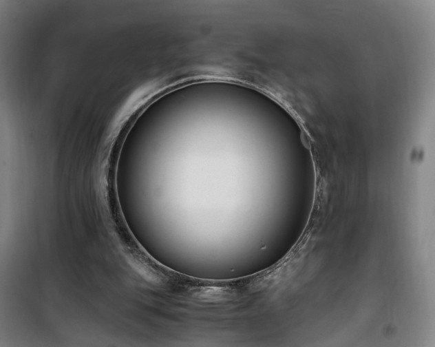 X0000101660151200807101302