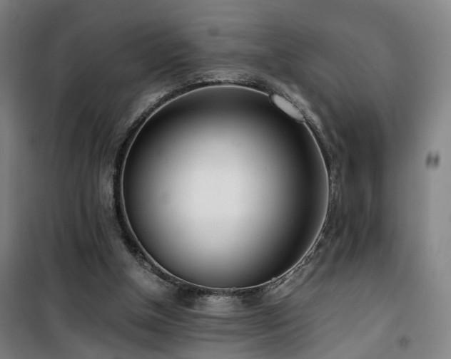 X0000101660154200807101302