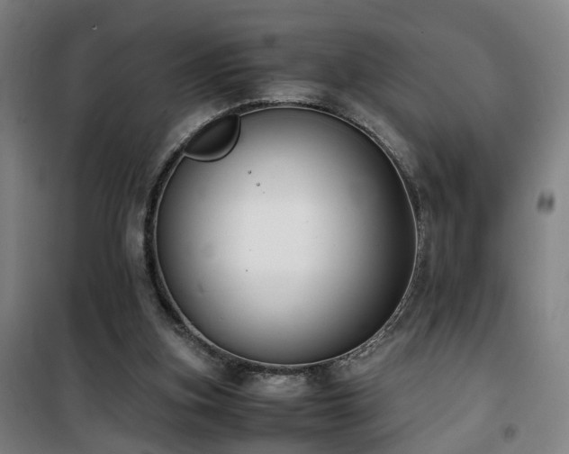 X0000101660155200807101302