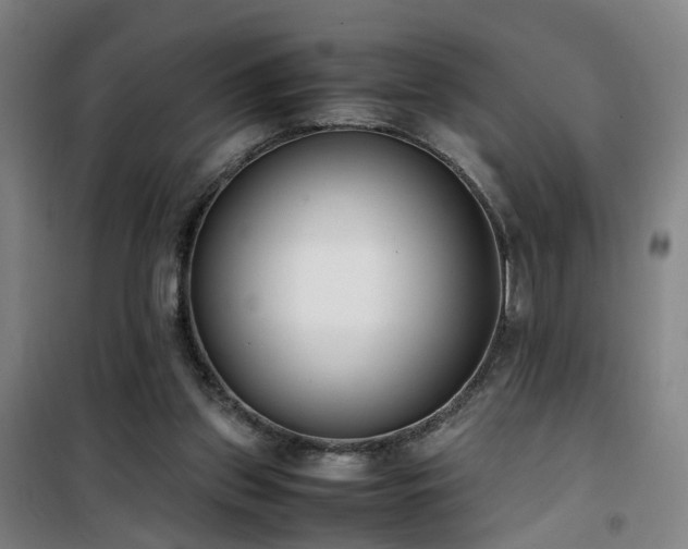 X0000101660157200807101302