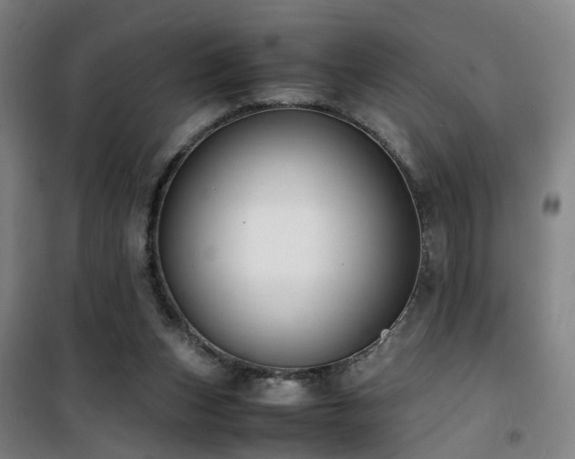 X0000101660159200807101302