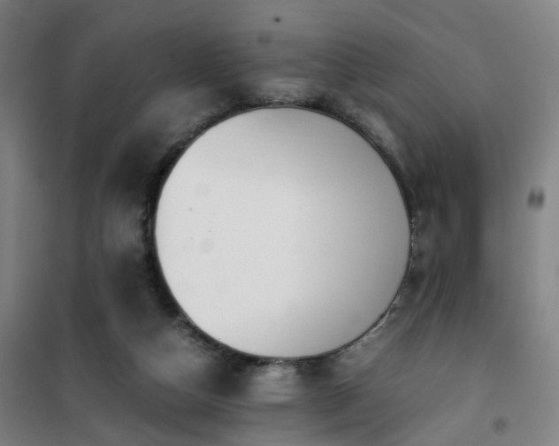 X0000101660162200807101302