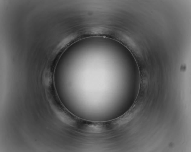 X0000101660164200807101302