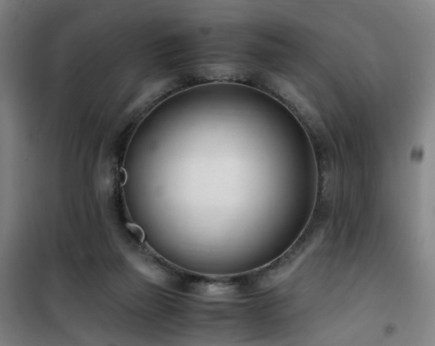 X0000101660165200807101302