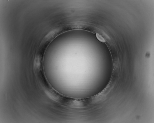 X0000101660166200807101302