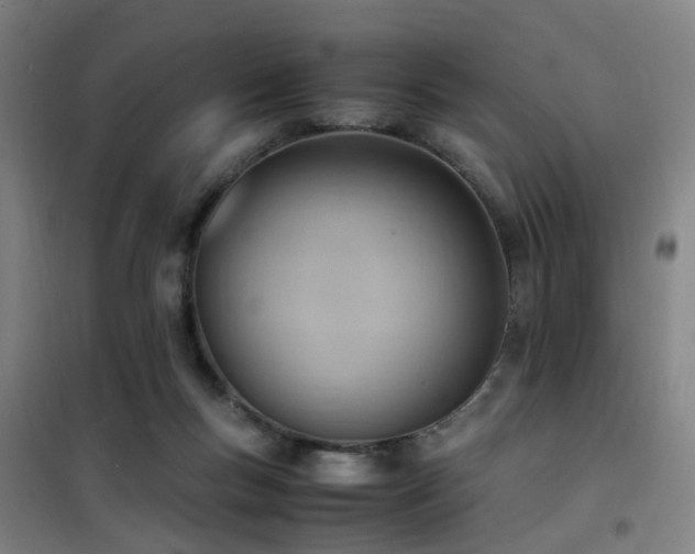 X0000101660167200807101302