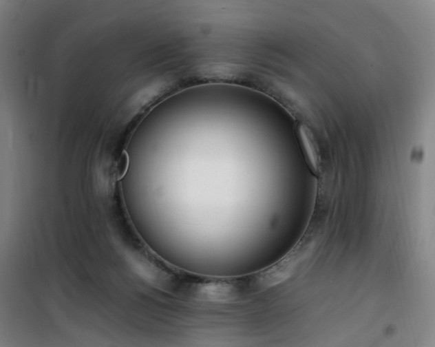 X0000101660168200807101302