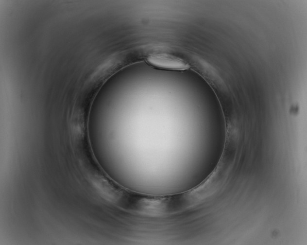 X0000101660170200807101302