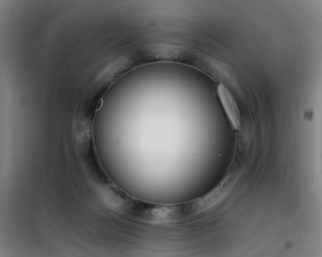 X0000101660172200807101302