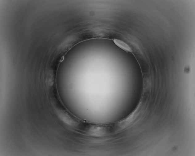 X0000101660174200807101302