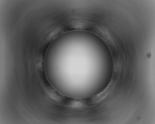 X0000101660175200807101302