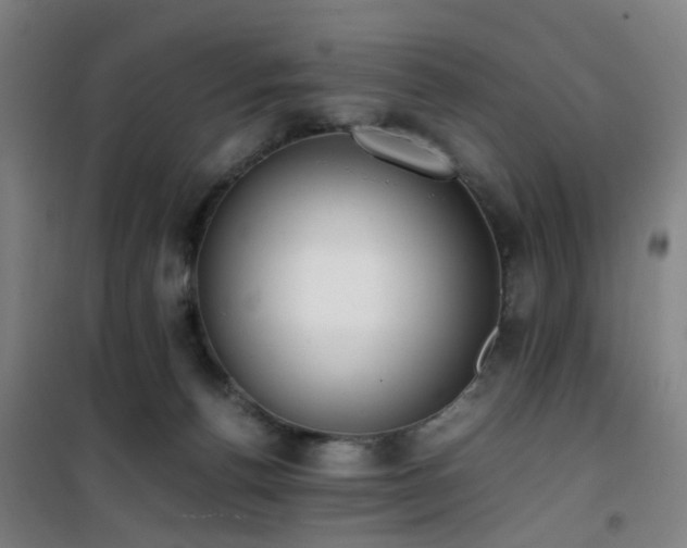 X0000101660176200807101302