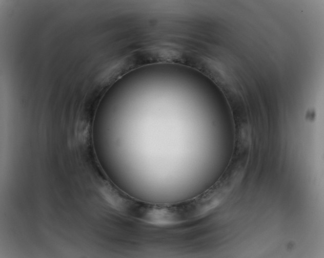 X0000101660177200807101302