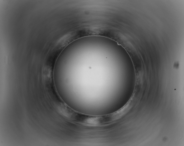 X0000101660178200807101302