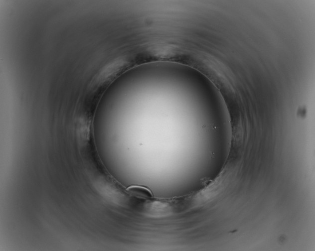 X0000101660180200807101302