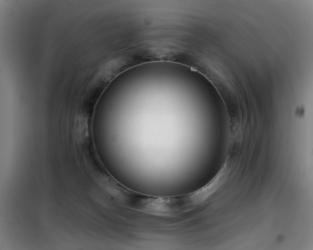 X0000101660182200807101302