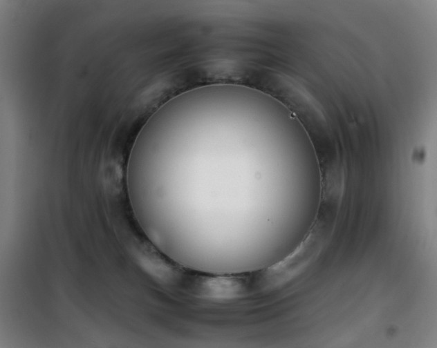 X0000101660183200807101302